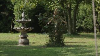 Катание на качели голышом и прогулка в парке длинноволосой рыжей чешки