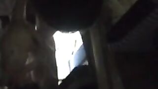 Россиянин дерет сзади сучку в купе поезда РЖД