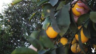 Обнаженная нимфа Лорин Вулф собирает урожай лимонов на фотосессии