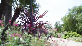 Приятные упражнения Маккензи Мейс на большом члене черного тренера