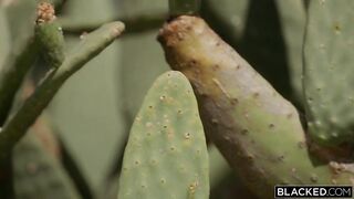 Горячая четверка блондинок едва справляется с огромным хуем Антона Хардена