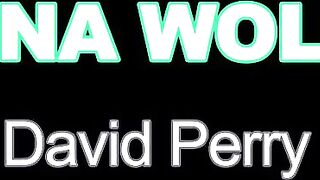 Дебютный кастинг худой блондинки в сексуальном белье Луны Вулфс