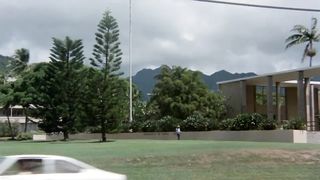 Винтажный порно фильм «Восточные Гавайи» (Oriental Hawaii) 1982-го года