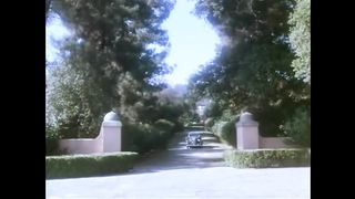 Порно фильм 1983-го года «Дикси Рэй - голливудская звезда»