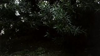 Черный Синдбад ебет сочных женщин в ретро порнухе от Джо д’Амато