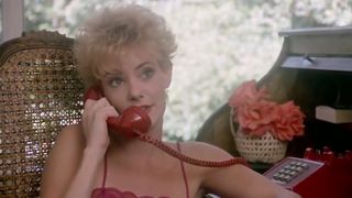 Порно фильм 1983-го года «Сладкие молодые кошечки» (Sweet Young Foxes)