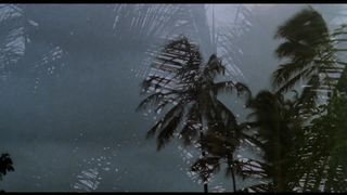 Американский порно фильм 1979-го года «Тропики Страсти» (Tropic Of Desire)